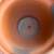 Tulip Clay Terracotta Pot 2 thumbnail