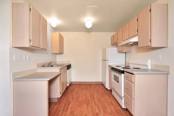 $1,400 / 2br - 844ft2 - Just stunning! Spacious 2 Bed, 1 bath with lots of light (Vancouver)63672618621825122