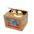 **********PANDA/KITTEN MONEY SAVING BOX********** 1 thumbnail