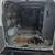 2010 FORD ECONOLINE E250 VAN 5 thumbnail
