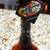 Decorative Variety of Vinegar Vegetable Jars 6 thumbnail