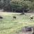 RV Parking, Site, Space, for Rent Full Hookup & GREAT WiFi 2 thumbnail
