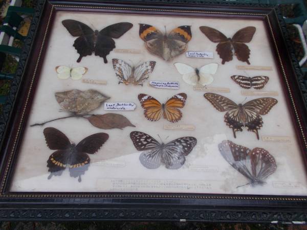 PortHole: w/4-Glass Circles, and 2-Wheel/Rings, 15 1/2inch PortHole, 4 1