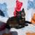 Kittens 1 thumbnail