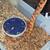 Corn snake 2 thumbnail