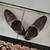 Men's Dress boots dark brown leather size 9 7 thumbnail