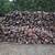 Firewood BBQ Stacked  Delivered OR Wood Yard MANCHACA SALE!! 20 thumbnail