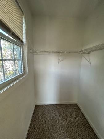 $950.00 / 3br - 1462ft2 - ONE 205 SQ. FT. BEDROOM FOR RENT Only - this listing is for a single b64002993269890121