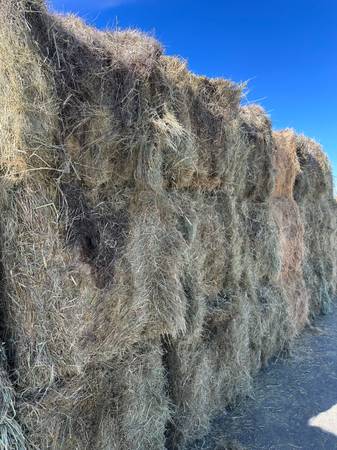Mountain grass hay 1