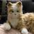 Interactive  Toy By JOY FOR ALL Orange Tabby Cat Companion Realistic L 3 thumbnail
