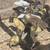 Ducklings 3 thumbnail