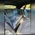 2005 Ford Mustang Deluxe Convertible 2D 21 thumbnail