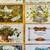 15) ANTIQUE EMBOSSED CHRISTMAS POSTCARDS #2 4 thumbnail