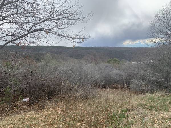 $11,000 Spectacular View Lots in Paynes Creek - Owner Financed with $1000 Down (Paynes Creek)63961468046722121