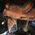 Western Horse Saddles 2 thumbnail
