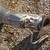 Exhaust Parts From 2014 RAM 3500 6.7 Cummins Diesel 5 thumbnail