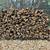 Firewood Delivered / Stacked or Wood Yard Pickup !! REFER A FRIEND 22 thumbnail