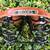 Brand New Brooks Flyer S Special (MADE IN USA) Bike Seat 11 thumbnail