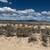 10 ACRES E-1540-0006-0000 **Pending** 7 thumbnail