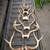 deer buck  antlers racks horns dog chews 2 thumbnail