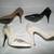 Womens Shoes 1 thumbnail