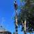PROFESSIONAL LANDSCAPING SERVICES / CLEAN UPS/ DE WEEDING/ MULCH 11 thumbnail