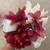 5 Bouquets 5 thumbnail