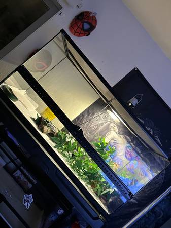 Reptile terrarium 361818 1