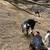 Nubian goat doeling 3 thumbnail
