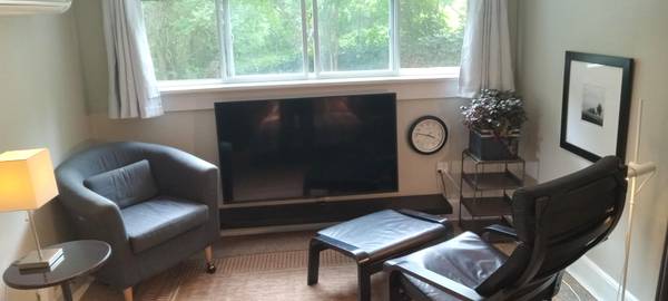 $1,200 / 1 dormitorio - Mini suite amueblada de tres habitaciones (North Asheville)63179790215811122