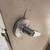 Door jambs 12 thumbnail