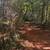 Contractor & Property Manager Support — Cleanup, Grading & Hauling 1 thumbnail