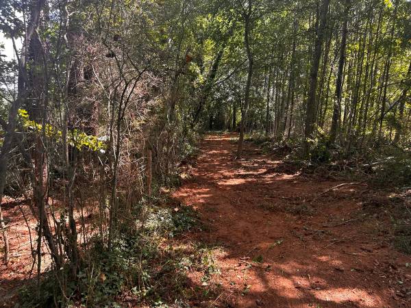Contractor & Property Manager Support — Cleanup, Grading & Hauling 1