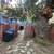 House with large Yard - Pets OK 14 thumbnail