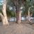 7 acres with river frontage $35,000 2 thumbnail