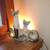 Siamese cat lot:  painting, lamp, bank, pot holder, magnets, etc 3 thumbnail