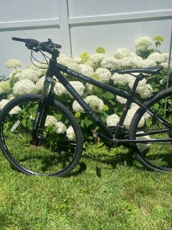 Various Bicycles 1