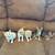 Adorable kittens 1 thumbnail