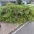 EXPERIENCED JUNK-TRASH-DEBRIS REMOVAL-WEST PALM BEACH 6 thumbnail