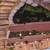🌿✨ General Landscaping & Garden Cleaning – Tino's Landscape & Garden 16 thumbnail