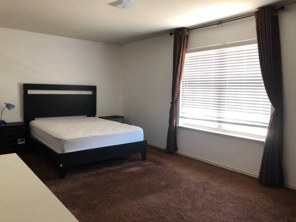 $1,100 Renovated with Modern Fixtures Available in High-Foot-Traffic Retail (SoHo)63684781040003120