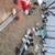 Poultry 1 thumbnail