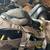 Duck decoys 2 thumbnail