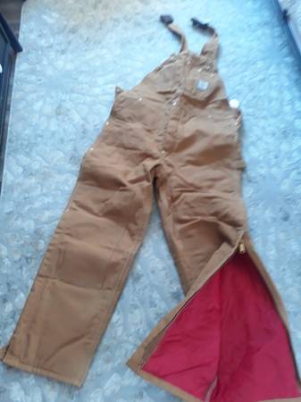 Lined carhartt bibs 1