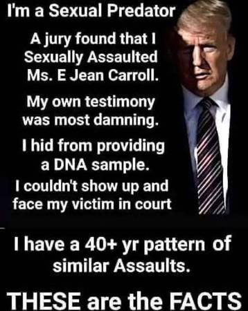 These Are The Facts 1