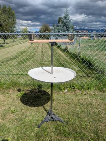 Medium sized bird perch or stand 1