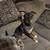 Medium Terrier 2 thumbnail