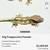 Crested gecko collection for sale 7 thumbnail