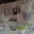 pack of new seven pieces Tommee Tippee five o z Anti colic Baby Bottle 4 thumbnail
