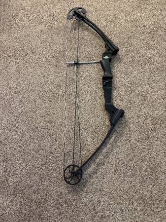Genesis Archery Bow 1